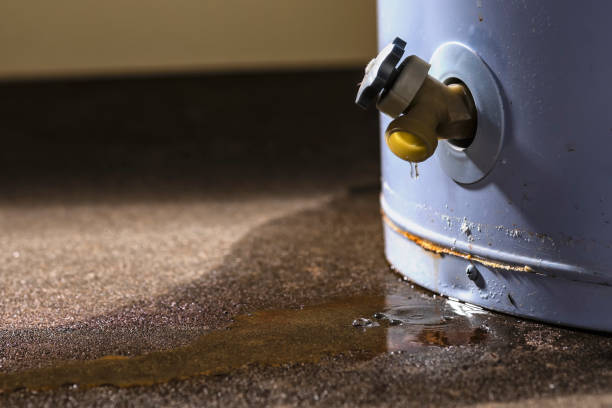 Best Water damage cleanup near me  in Lynwood, CA