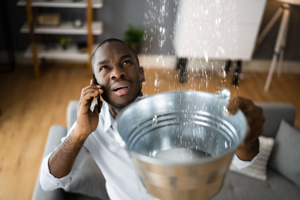 Best Water damage restoration services  in Lynwood, CA