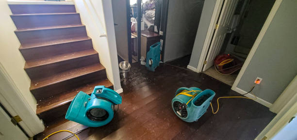 Best 24-hour water damage restoration  in Lynwood, CA