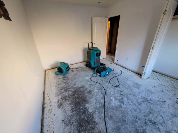 Best Flooded house restoration  in Lynwood, CA
