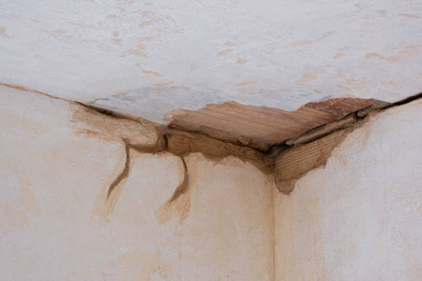 Best Water damage contractors near me  in Lynwood, CA