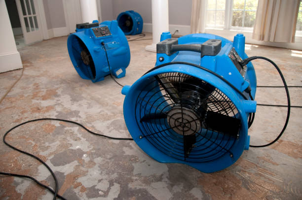 Best Flood restoration services  in Lynwood, CA