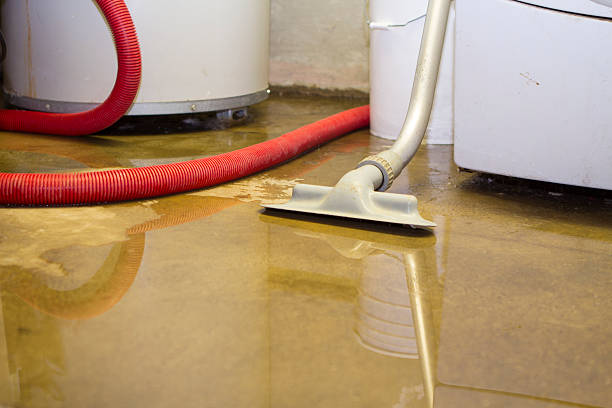 Best Emergency water damage restoration  in Lynwood, CA