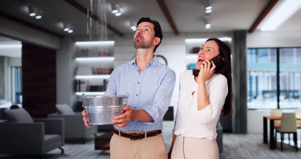 Best Water damage repair service  in Lynwood, CA